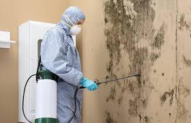 Trusted Tukwila, WA Mold Inspection Experts